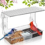 Raamvoederhuisje voor vogels met helder zicht en directe montage op het glas